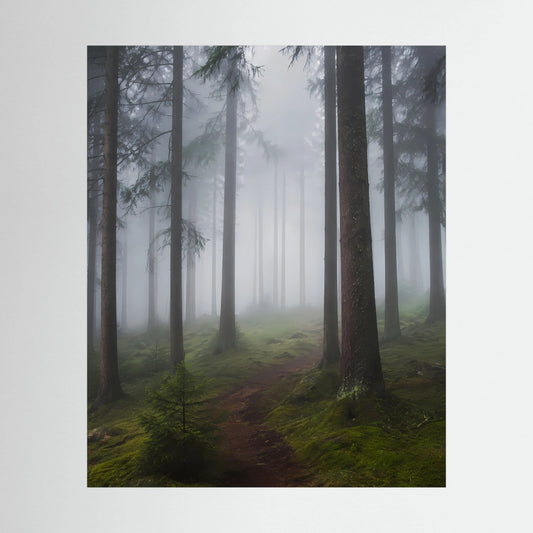 Hochformat-Poster mit Nebelwald und Waldweg zwischen hohen Tannen