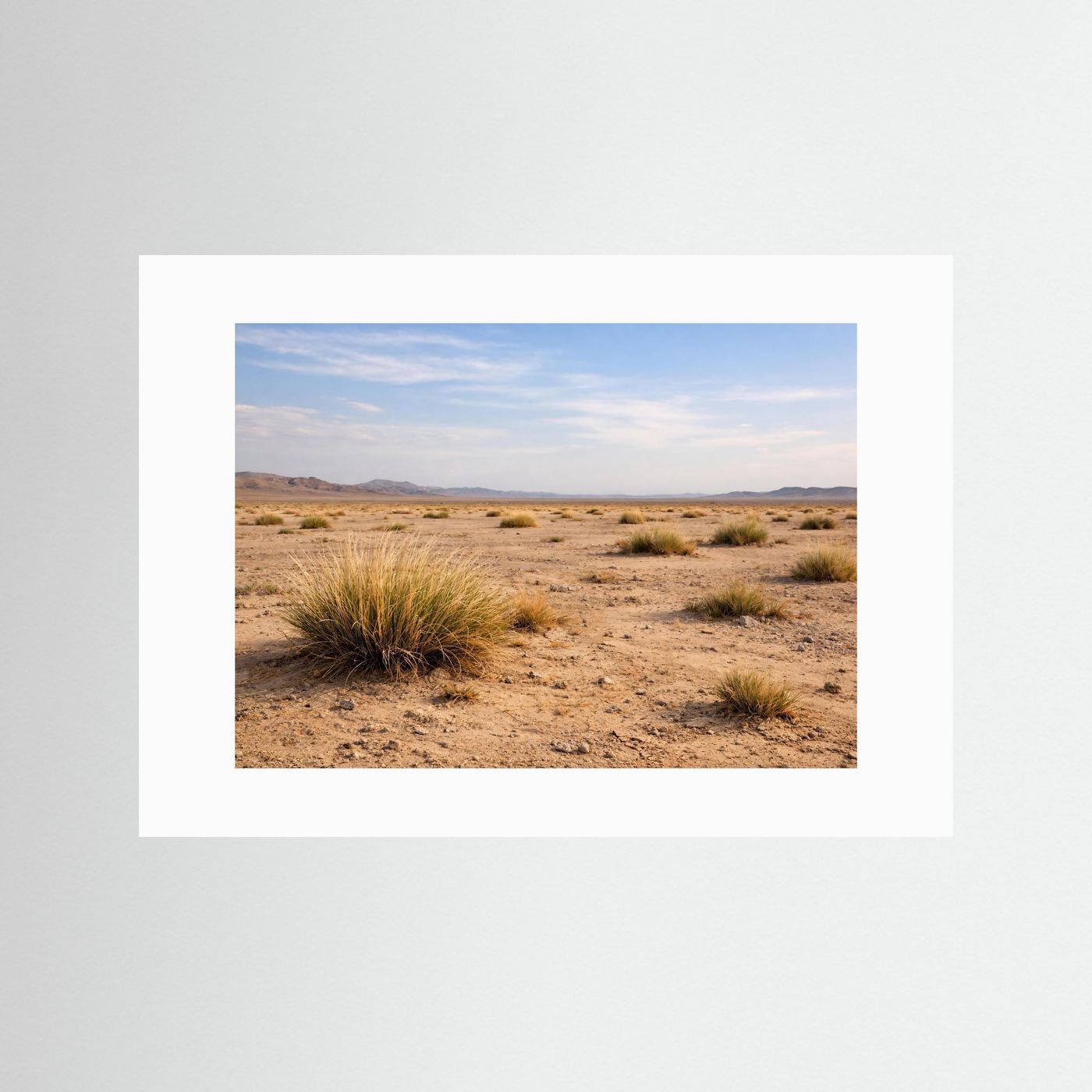 Weite der Steppe | Wüstenlandschaft Naturposter Querformat