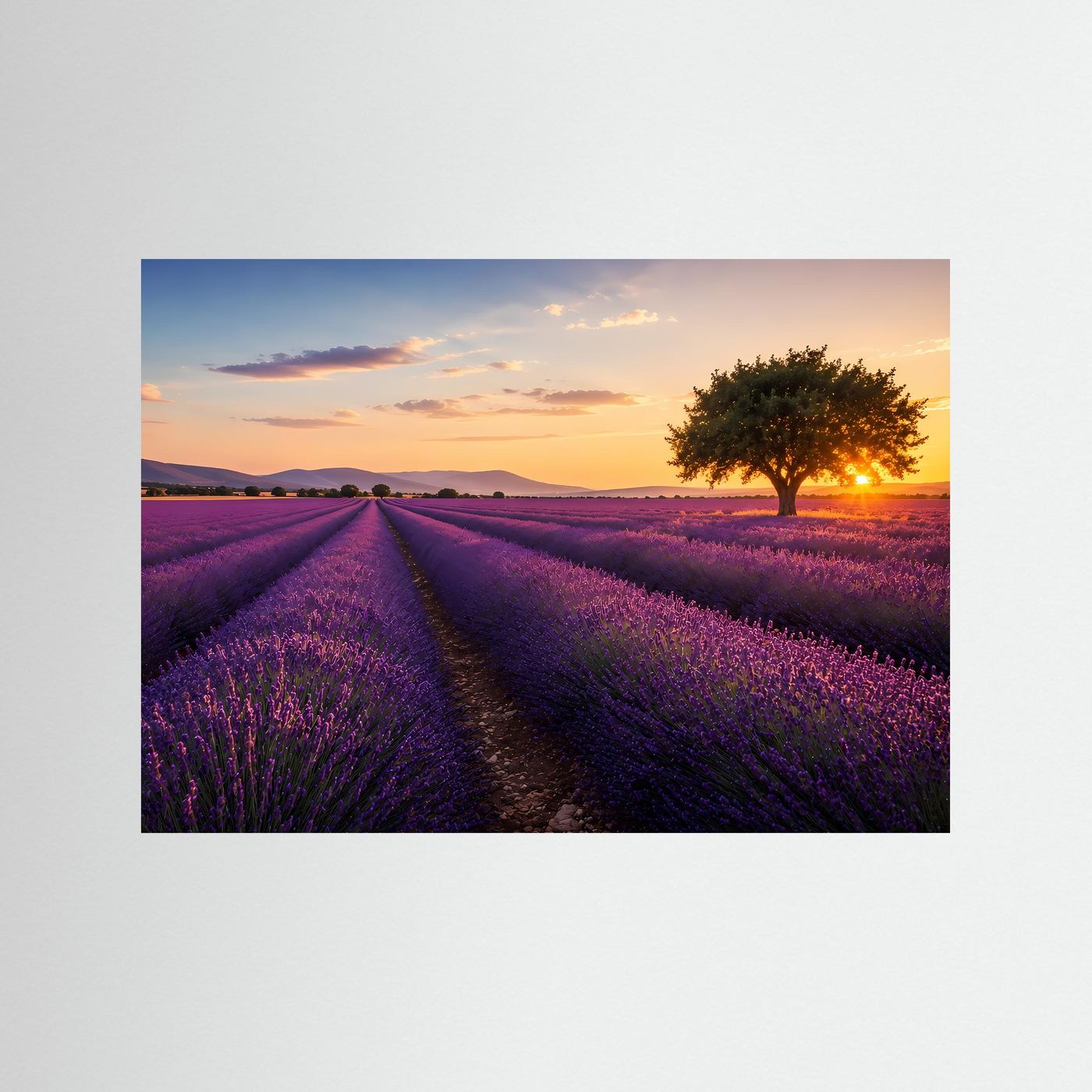 Lavendelfeld bei Sonnenuntergang | Provence Landschaft Wandkunst