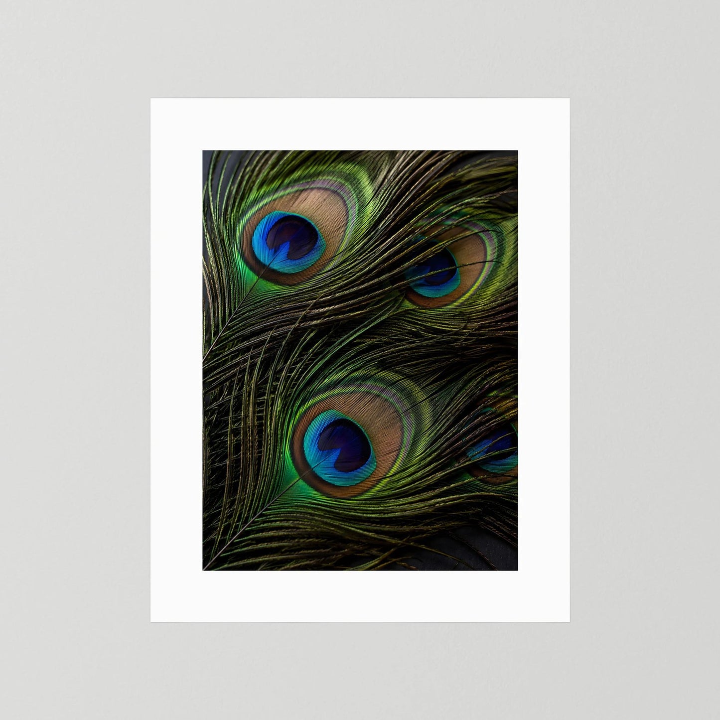 Poster im Hochformat mit Pfauenfedern: grüne Schwingen und blaue Augen, ohne sichtbaren Rahmen.