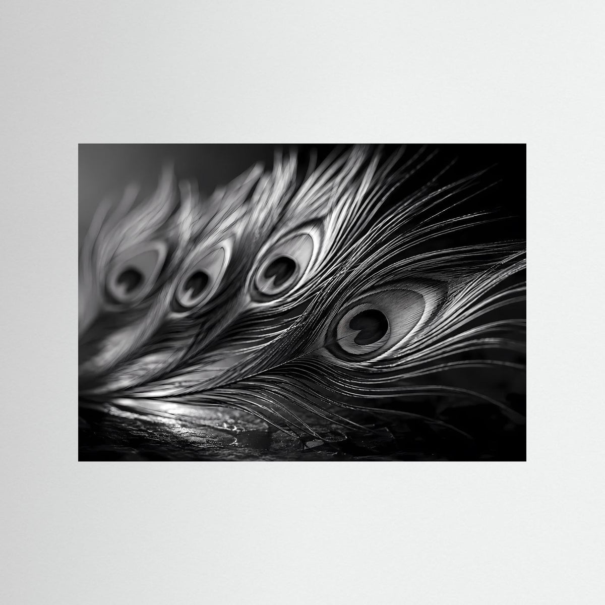 Schwarzweißes Pfauenfeder-Fotoposter mit Makro-Federaugen, schwarzer Einfassung
