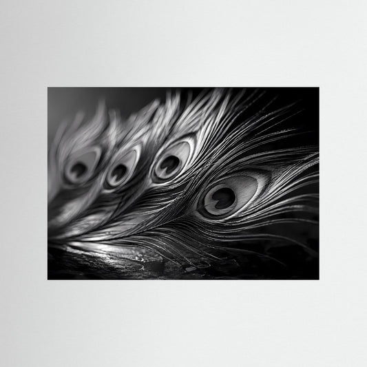 Schwarzweißes Pfauenfeder-Fotoposter mit Makro-Federaugen, schwarzer Einfassung