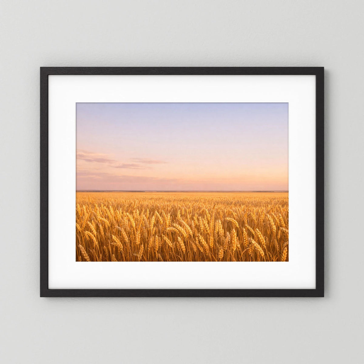 Querformatiges Wandbild mit goldenem Weizenfeld bei Sonnenuntergang im schwarz-weißen Rahmen