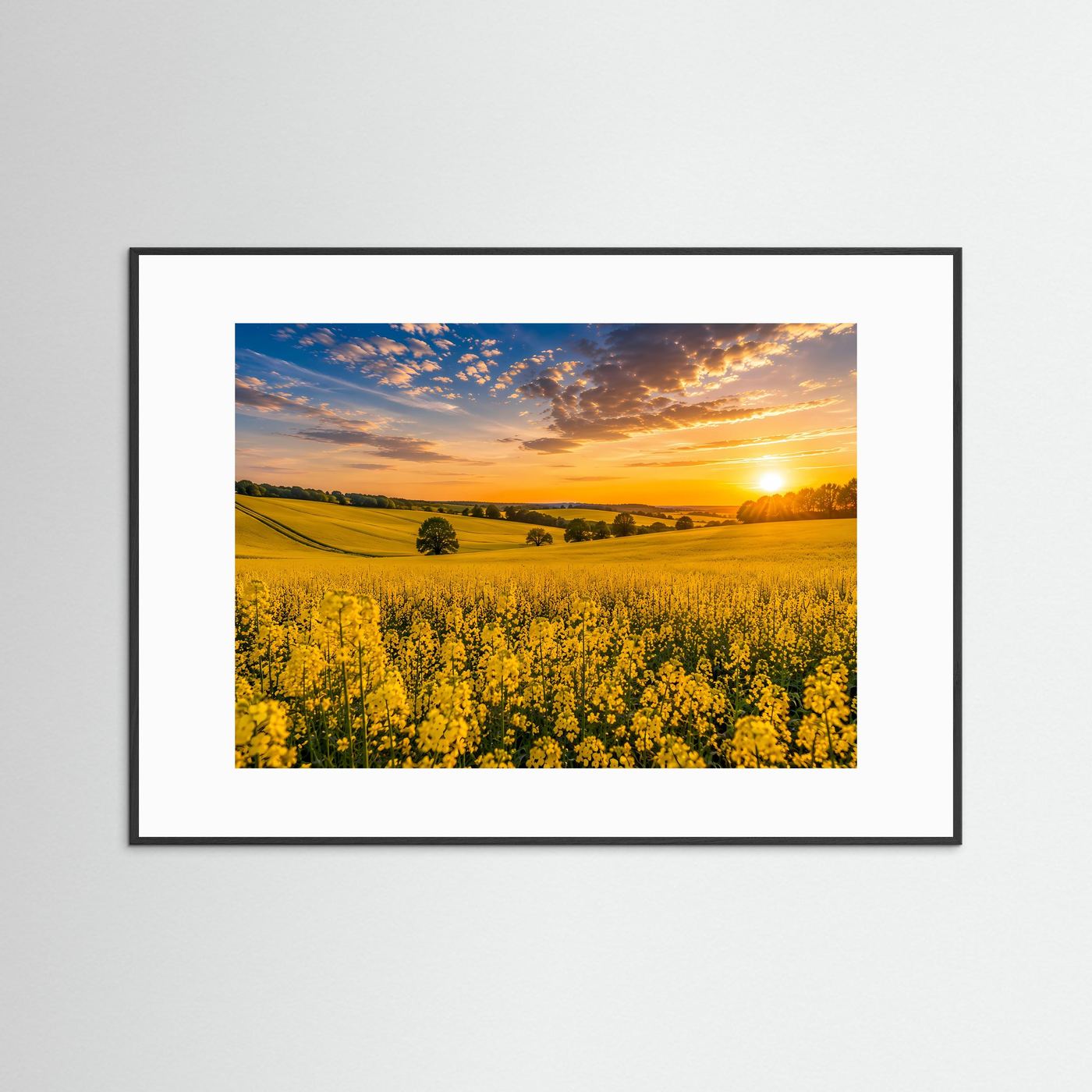 Rapsfeld Poster Querformat | Gelbe Blütenlandschaft bei Sonnenuntergang
