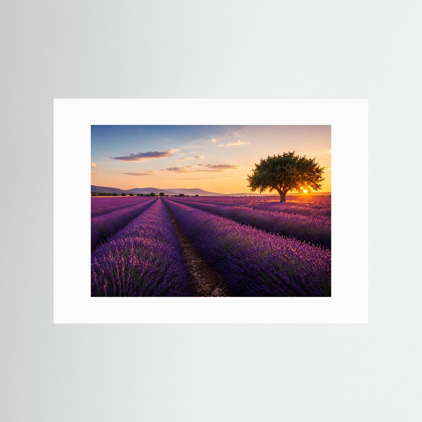 Lavendelfeld bei Sonnenuntergang | Provence Landschaft Wandkunst