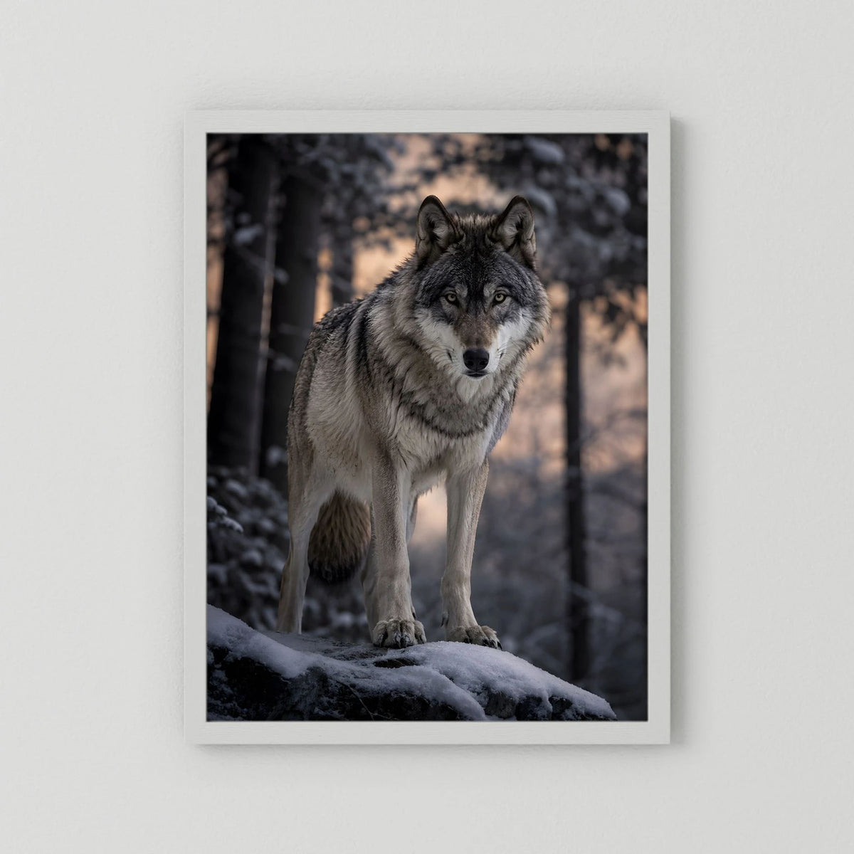 Wolf-Porträtposter im Hochformat, Grauwolf im Schnee, weißer Rahmen