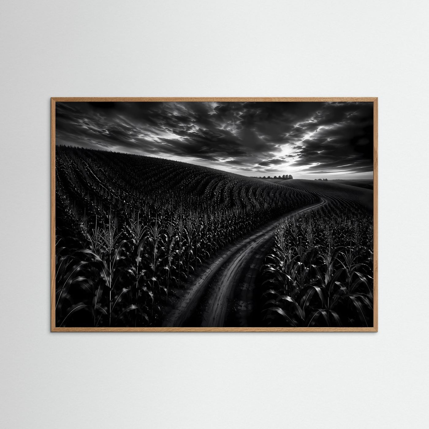 Schwarz Weiß Landschaft mit Feldweg | Dramatisches Natur Wandbild | Monochrome Landschaftsfotografie | Modernes Leinwandbild | Premium Poster