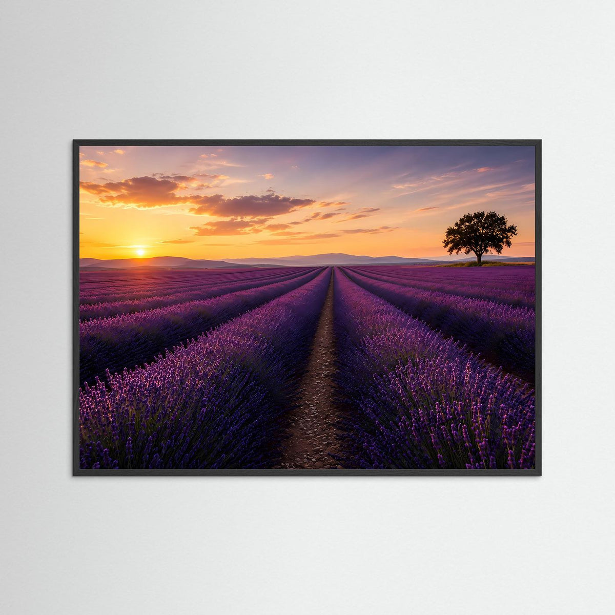 Querformat-Poster mit Lavendelfeld bei Sonnenuntergang im schwarzen Holzrahmen