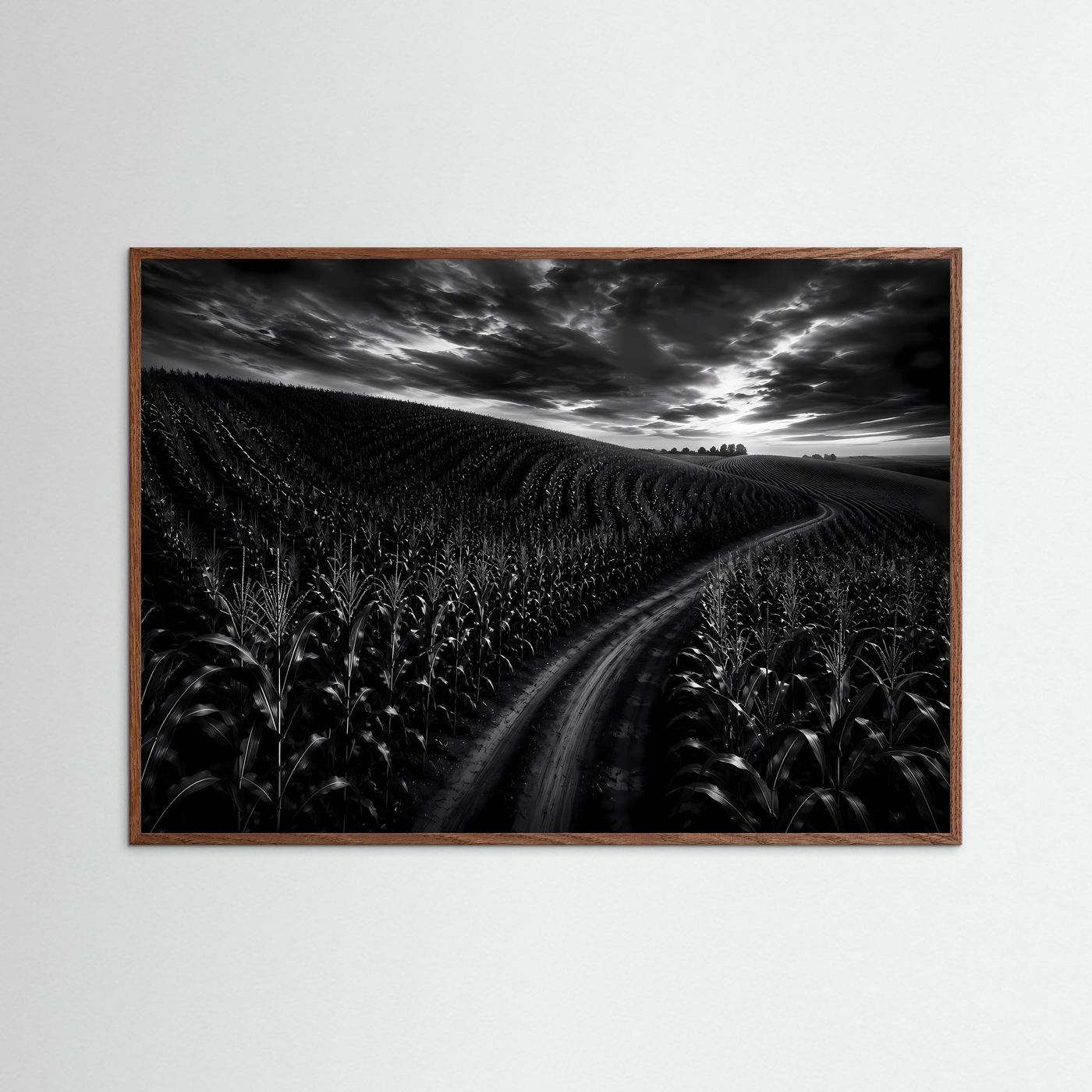 Schwarz Weiß Landschaft mit Feldweg | Dramatisches Natur Wandbild | Monochrome Landschaftsfotografie | Modernes Leinwandbild | Premium Poster