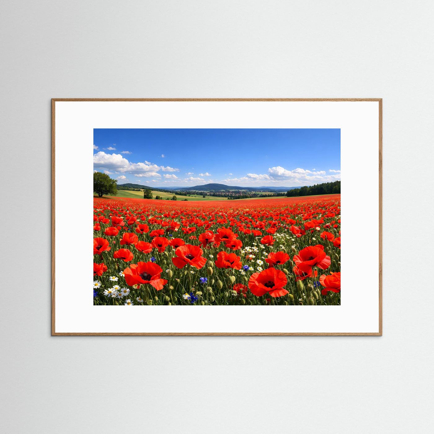 Leuchtendes Mohnblumenfeld im Sonnenschein | Sommer & Natur Poster Querformat