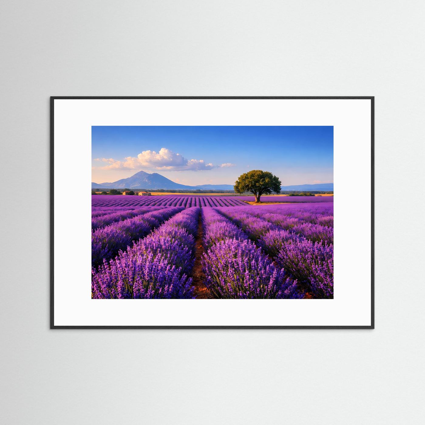 Lavendelfeld-Panorama im Querformat mit schwarzem Rahmen, Mittelweg, Baum und Bergsilhouette