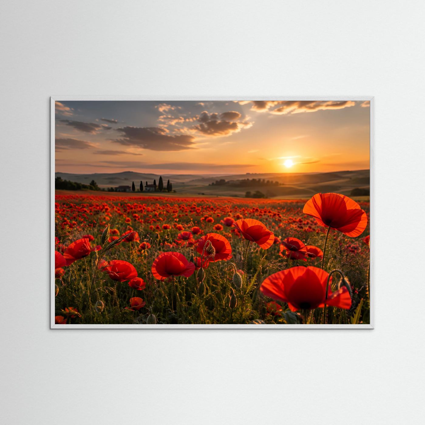 Rotes Mohnblumenfeld im Sonnenuntergang | Romantische Landschaft