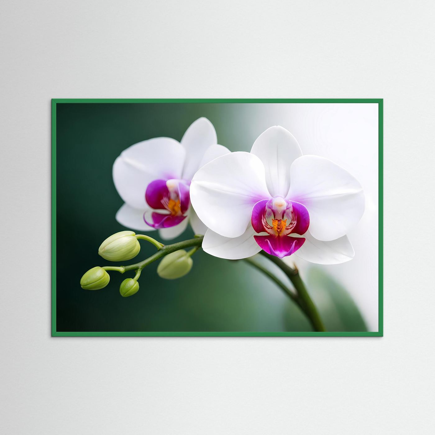 Poster mit weißen Orchideenblüten im grünen Holzrahmen