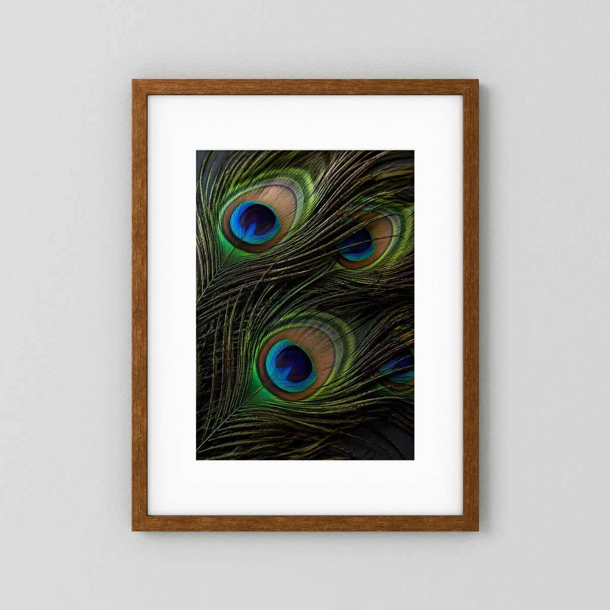 Gerahmtes Pfauenfeder-Poster im Hochformat: grüne Federn mit blauen Augen, brauner Holzrahmen.
