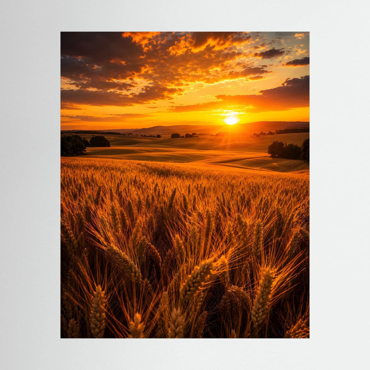 Sommerposter mit goldenem Weizenfeld und untergehender Sonne, hochformatig