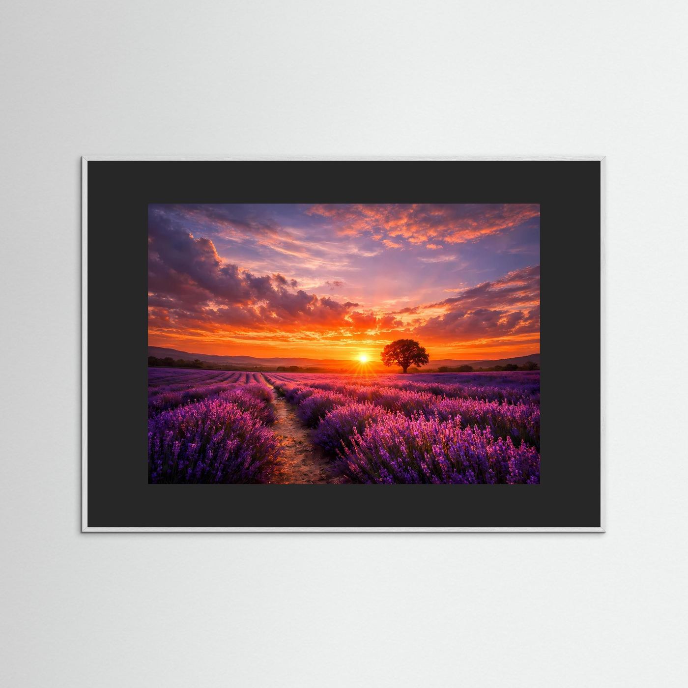 Wandbild Lavendelfeld bei Sonnenuntergang, grauer Holzrahmen, schwarzes Passepartout