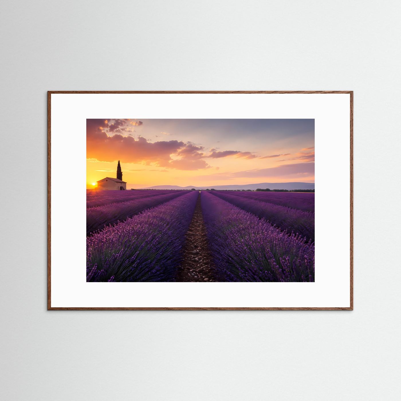 Lavendelfeld im Sonnenuntergang | Provence Landschaft in Lila & Gold