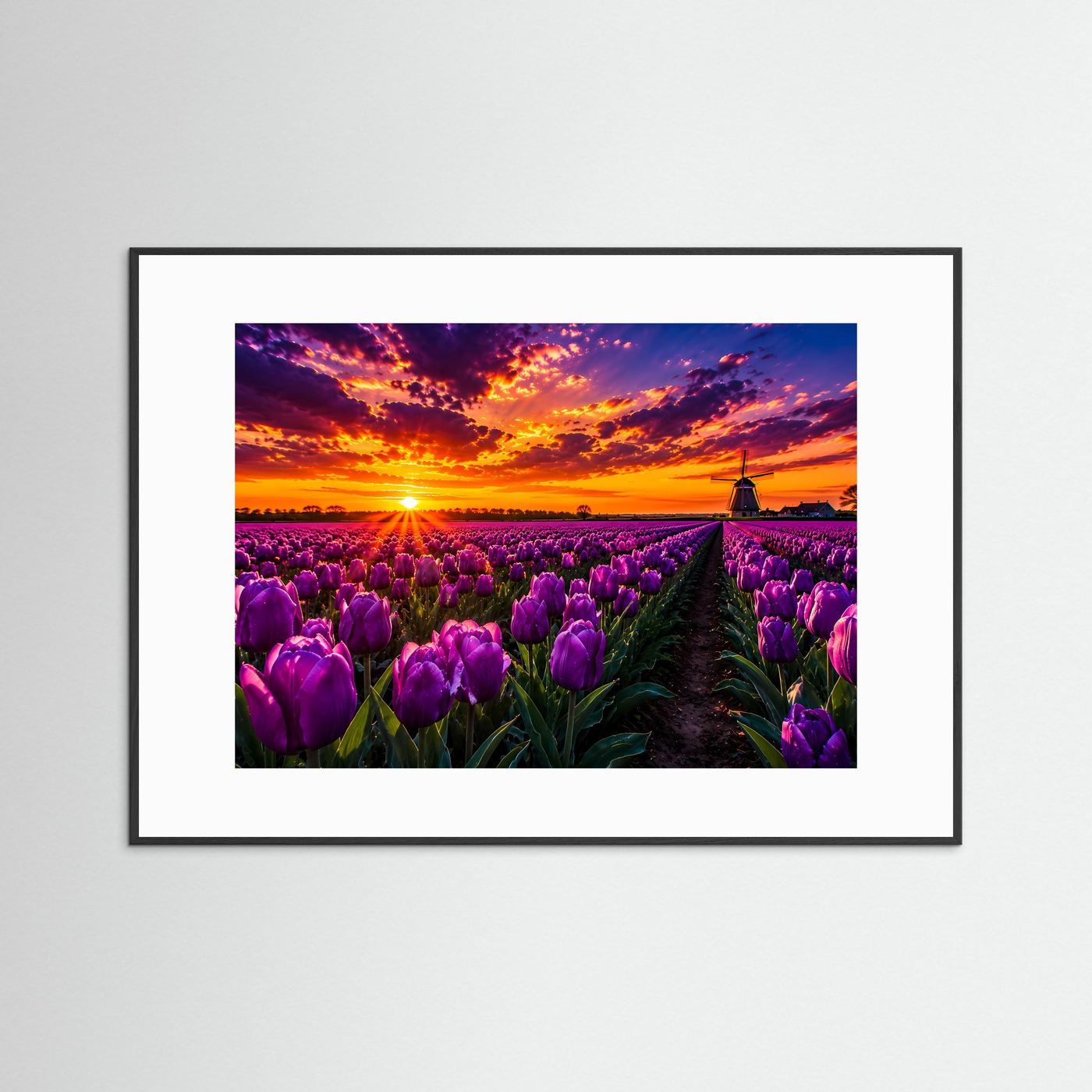 Lila Tulpenfeld Holland Poster Querformat | Windmühle & Sonnenuntergang