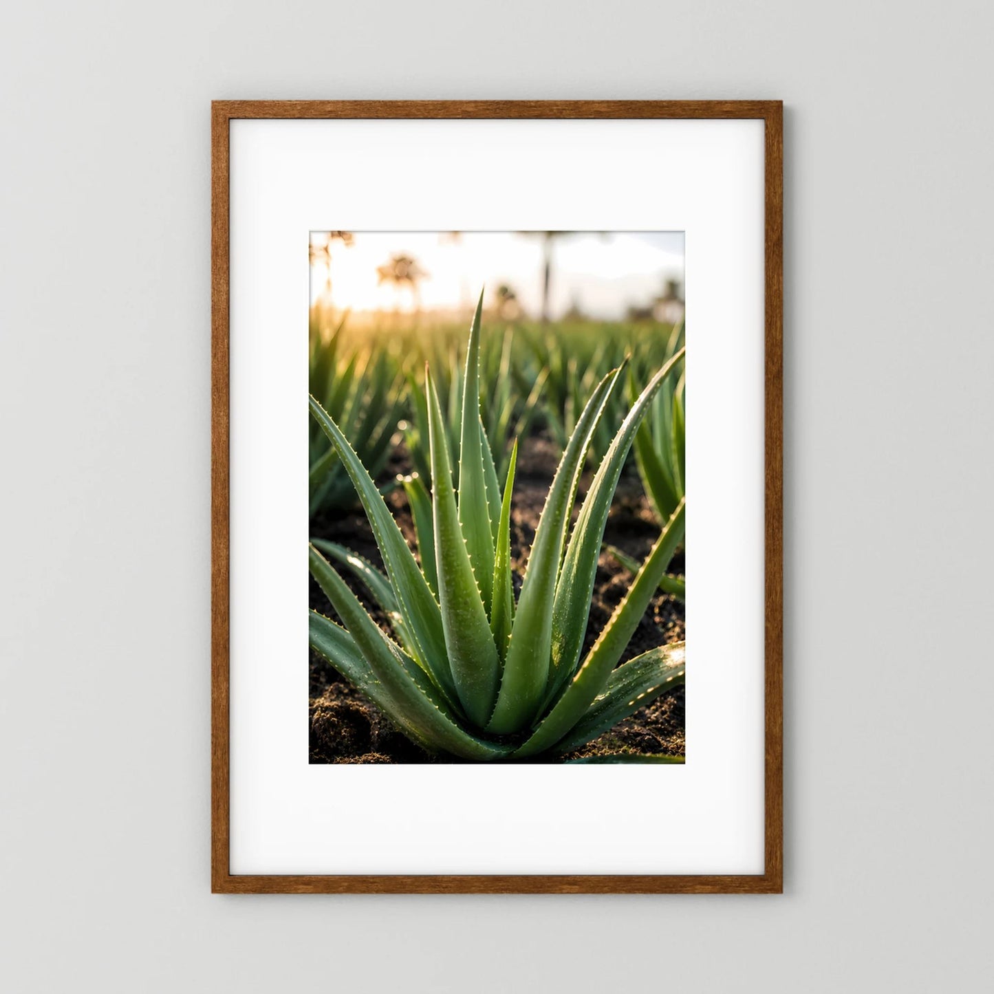 Poster mit Aloe-Vera-Pflanze im Hochformat, brauner Holzrahmen