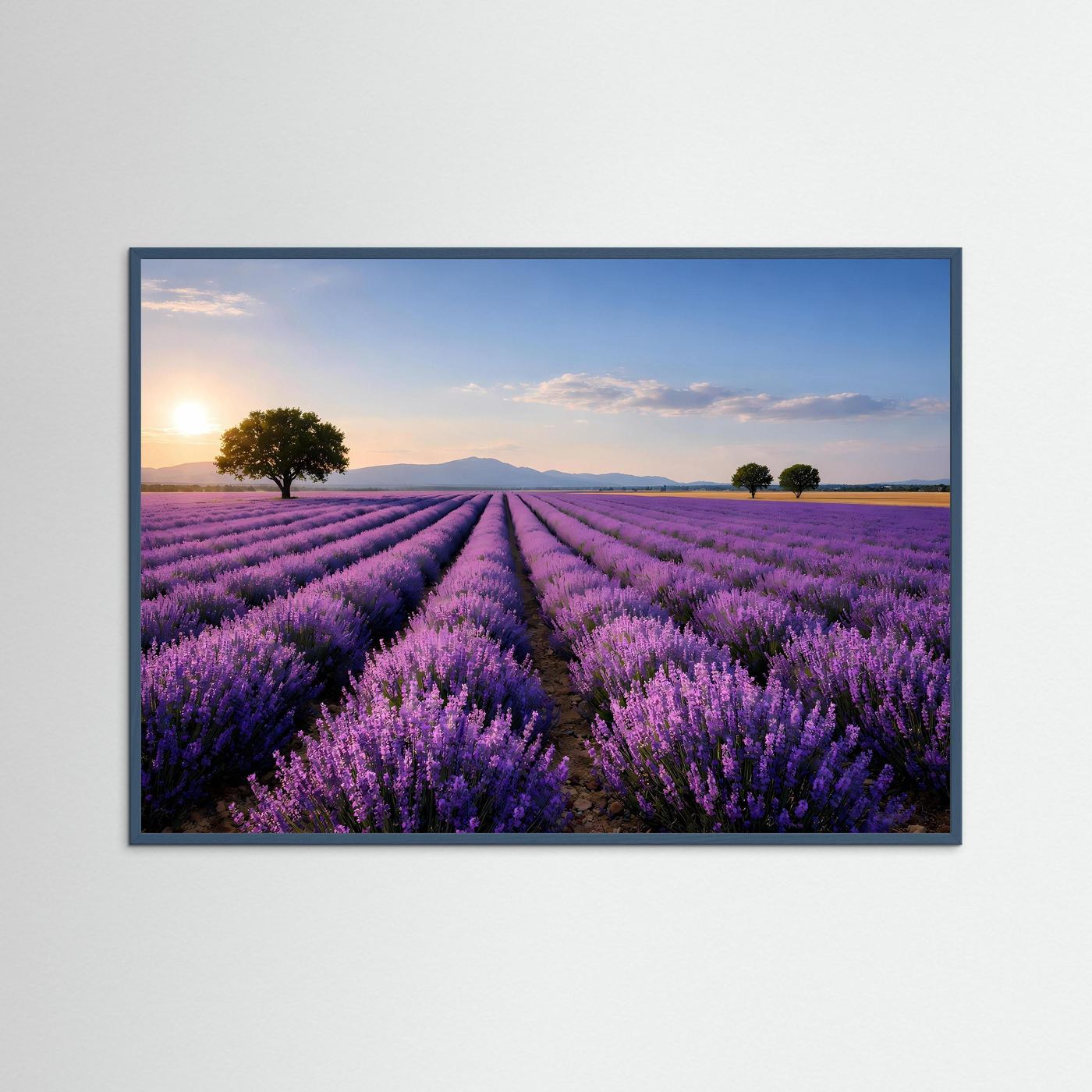 Lavendelfeld-Naturposter im Querformat mit grauem Rahmen, lila Blütenfelder mit Baum am Horizont