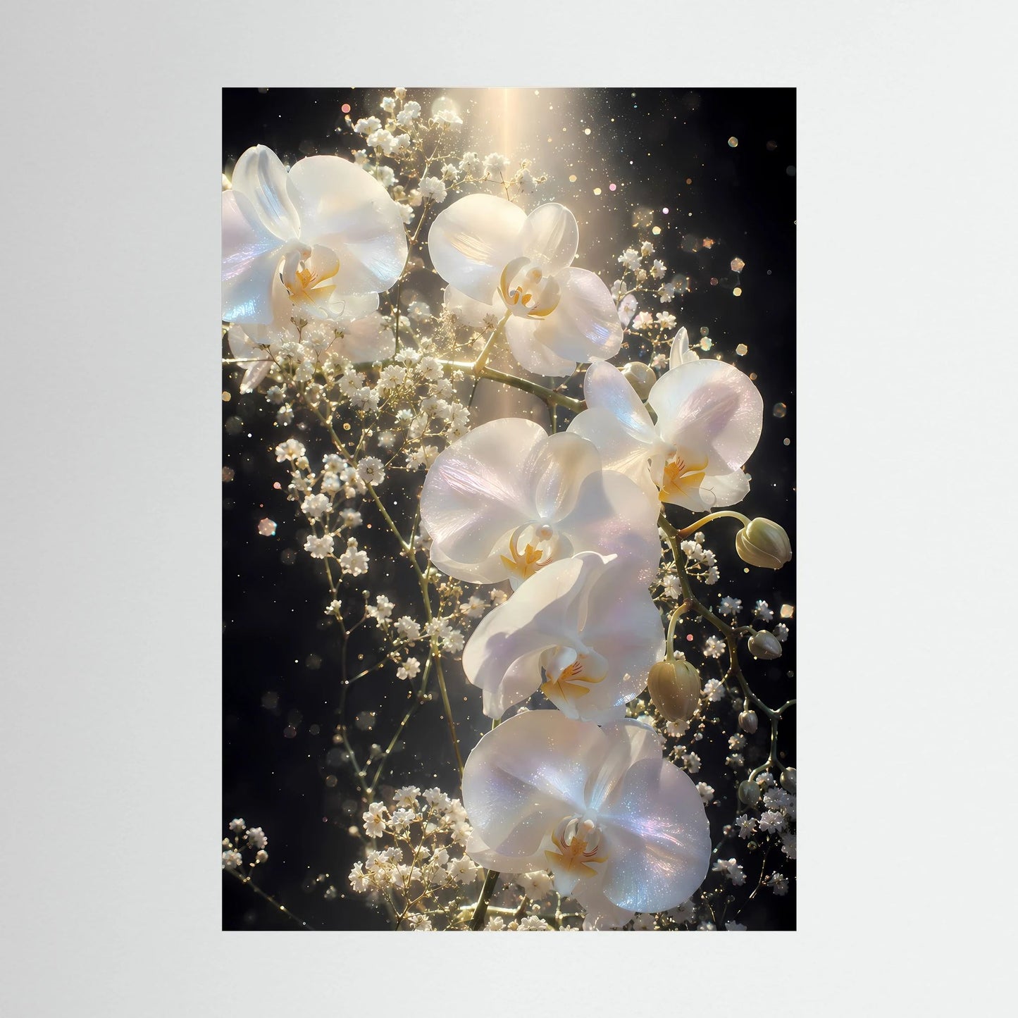Blumenposter mit weißen Orchideen und goldenen Lichtern, nahansicht, schwarz umrandet