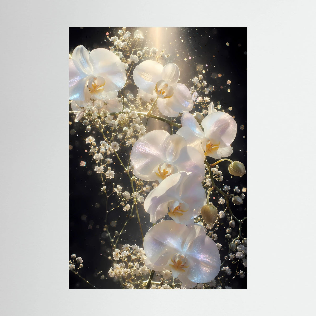 Blumenposter mit weißen Orchideen und goldenen Lichtern, nahansicht, schwarz umrandet