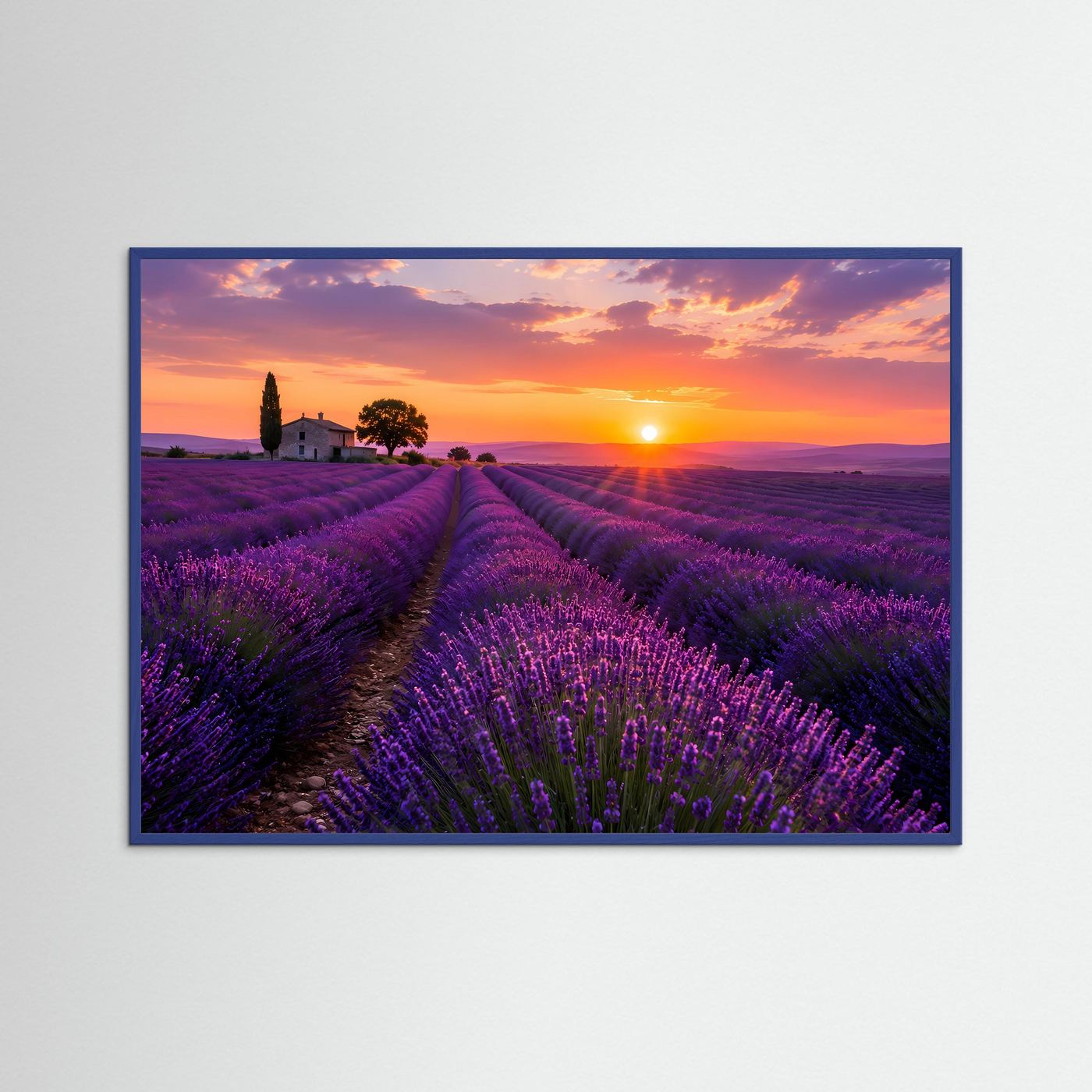 Lavendelfeld Poster Querformat | Provence Landschaft im Sonnenuntergang