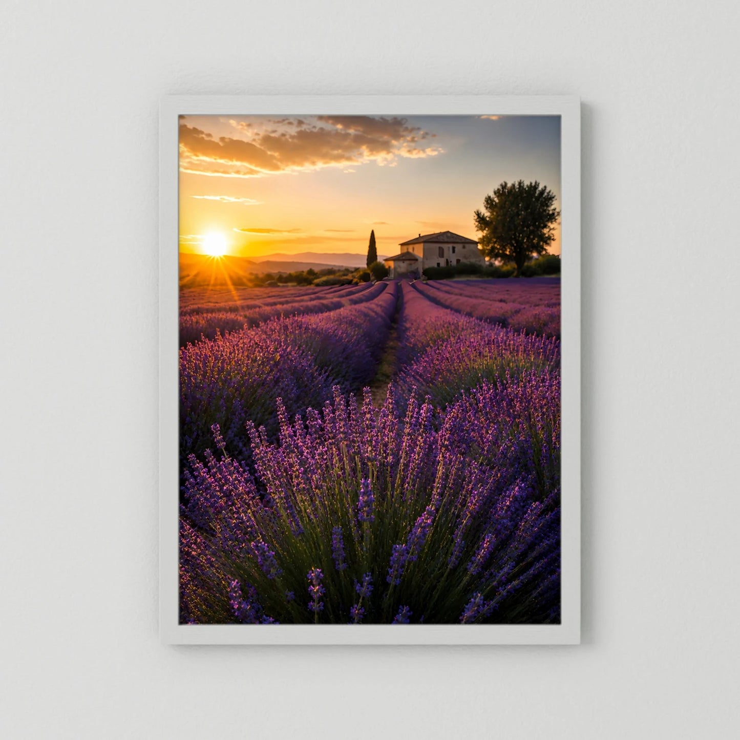 Kunstposter im Hochformat mit weißem Rahmen, Lavendelfeld und Sonnenuntergang