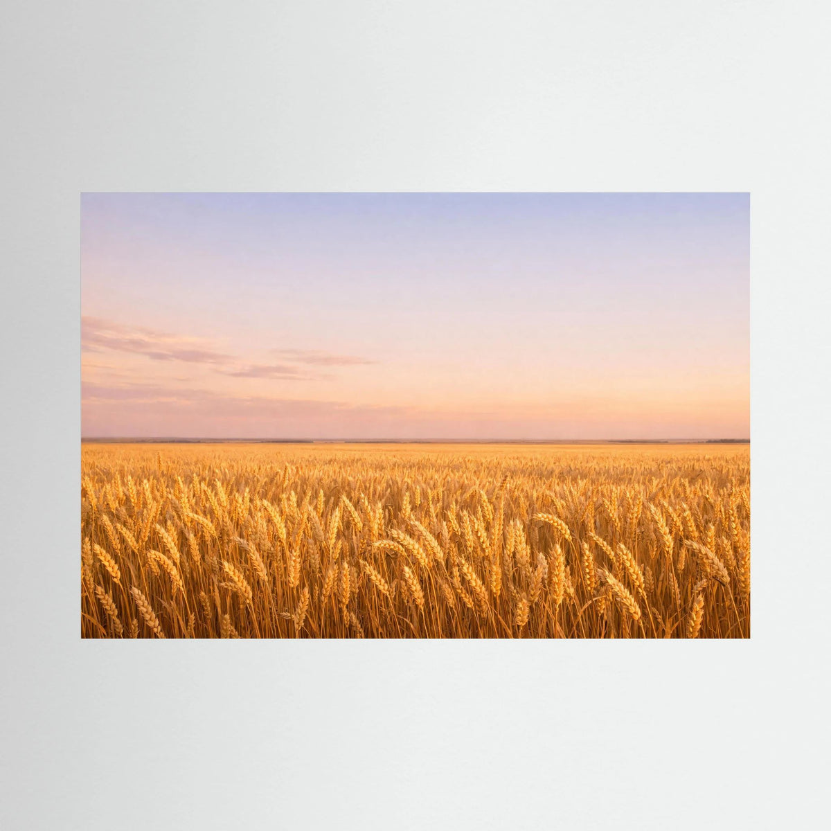 Rechteckiges Wandbild-Poster mit goldenem Weizenfeld bei Sonnenuntergang, Querformat.
