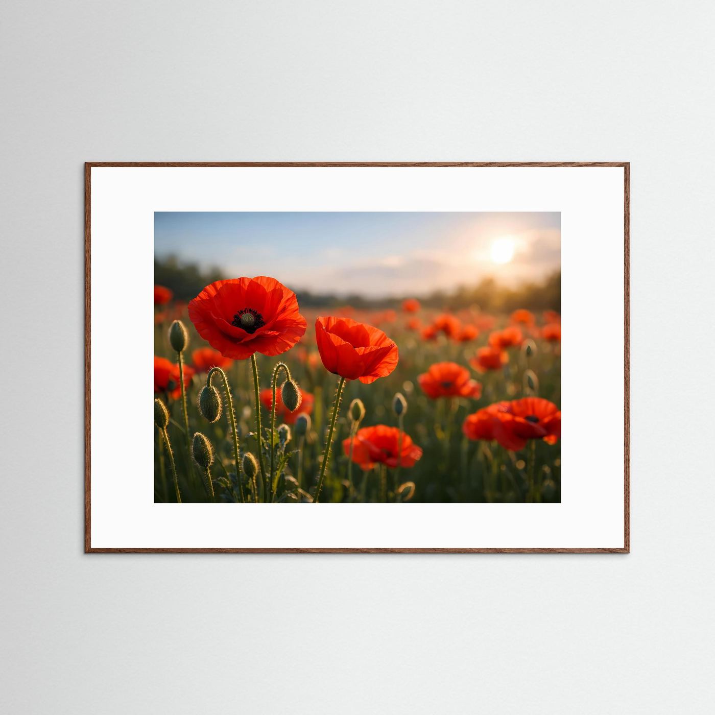 Blumenposter mit roten Mohnblumen im Sonnenuntergang, naturfarbener Holzrahmen