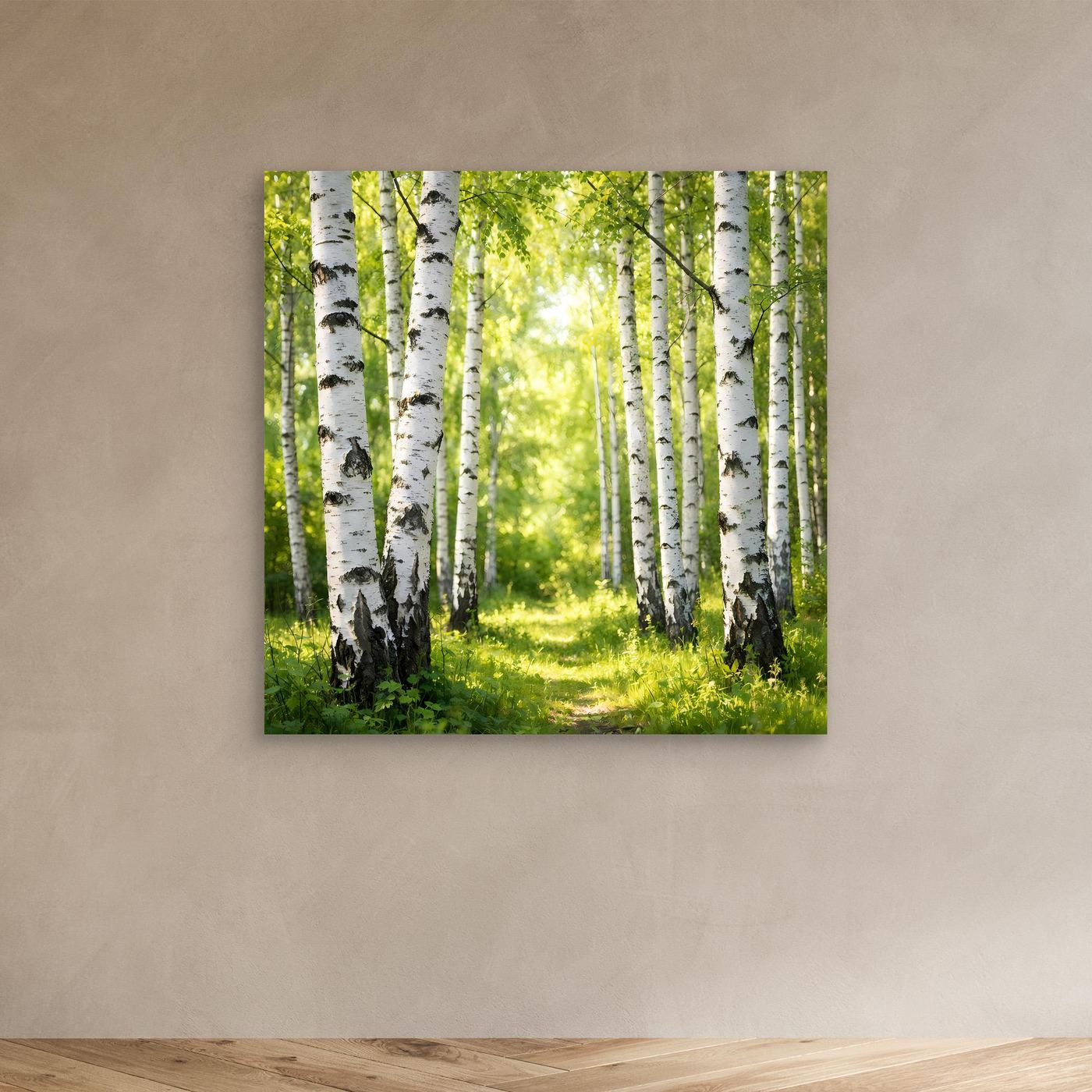 Leinwandbild Birkenwald im Sonnenlicht mit grüner Lichtung, ohne Rahmen