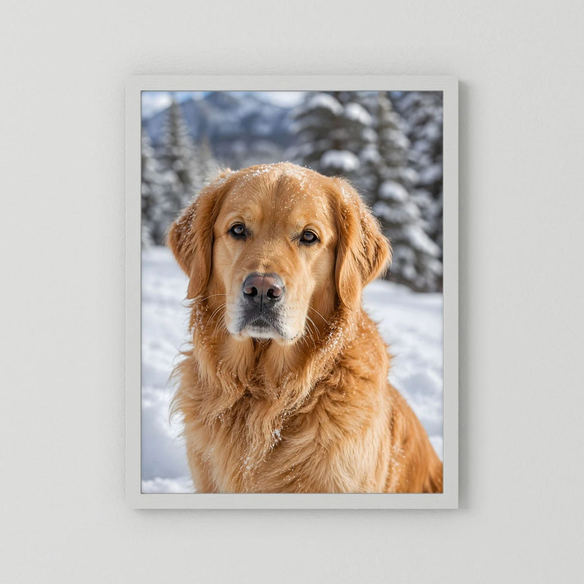 Hundeposter mit Golden Retriever im Schnee, im hellgrauen Rahmen mit Rand