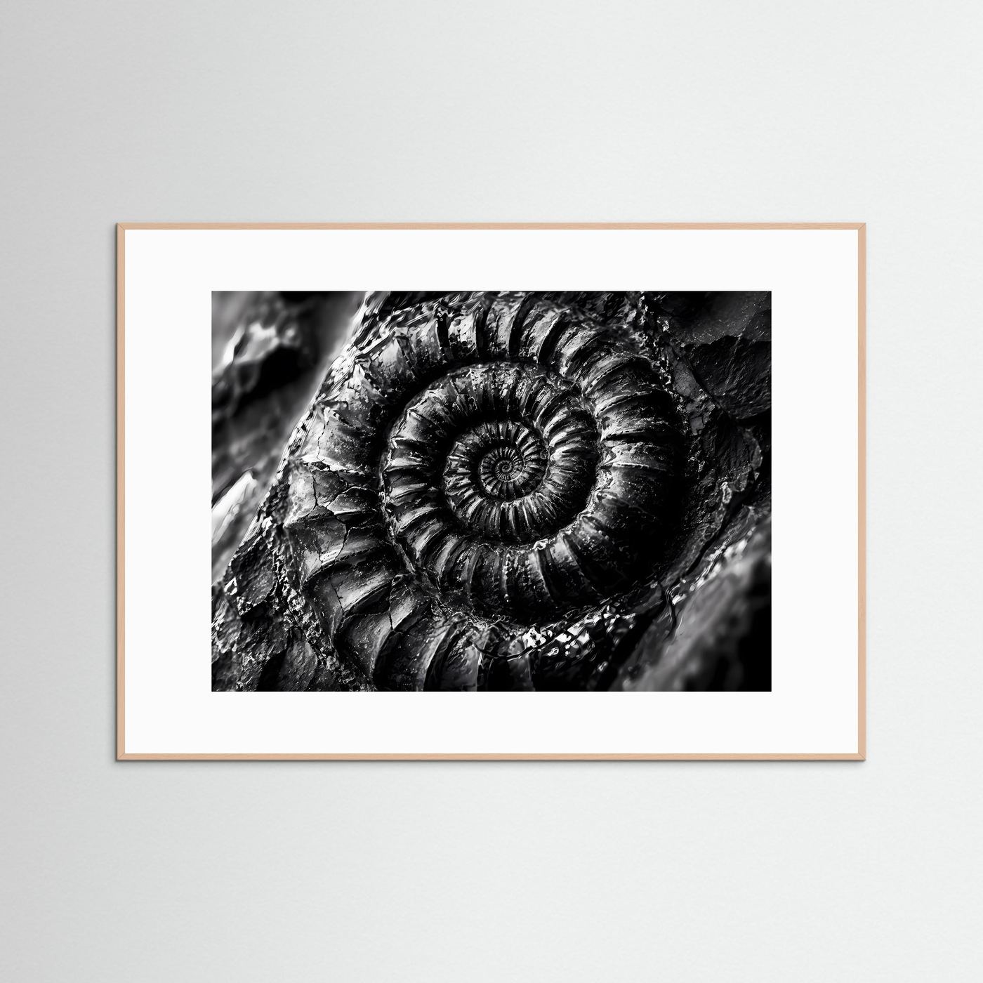 Ammonit Fossil Schwarz Weiß Poster | Makro Fossilien Wandkunst | Monochrome Naturkunst | Geologie Leinwand | Modernes Spiral Fossil Bild
