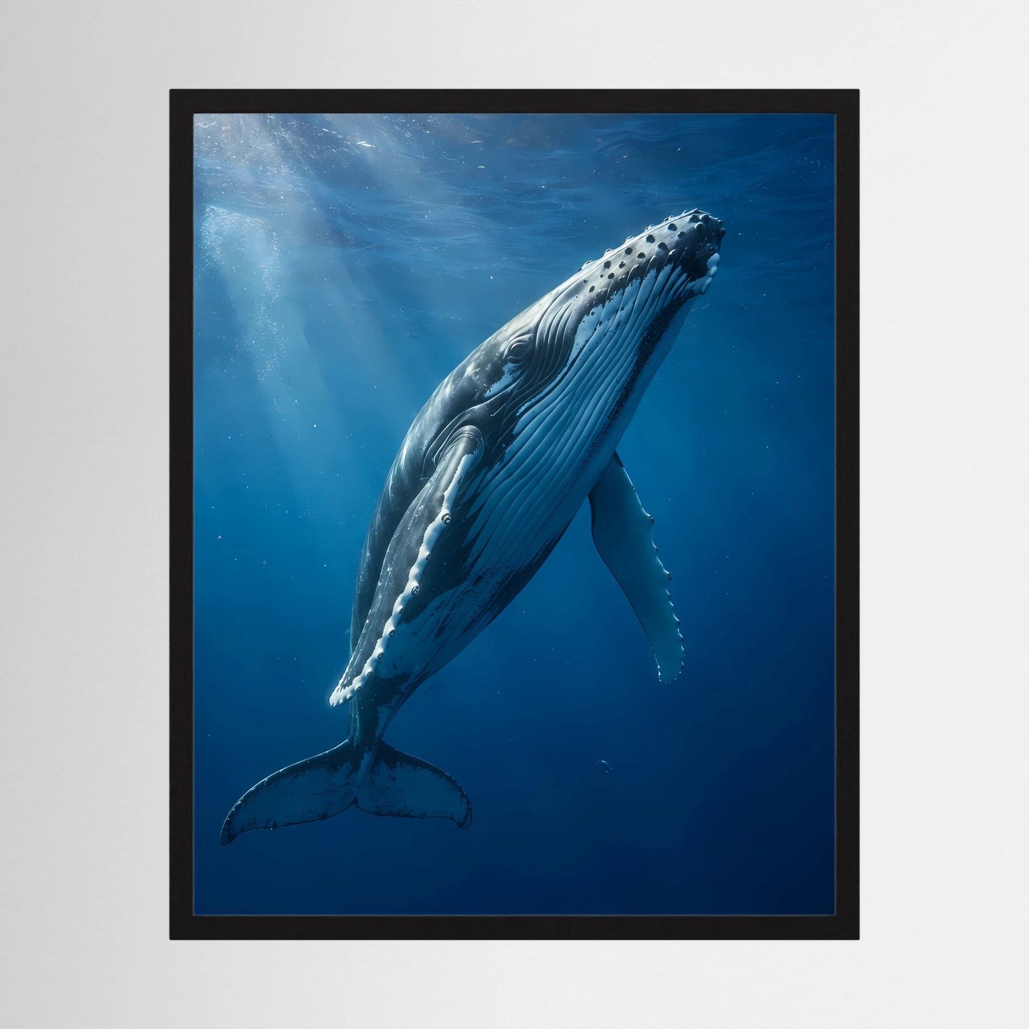 Poster im Hochformat mit Buckelwal unter Wasser, schwarz gerahmt