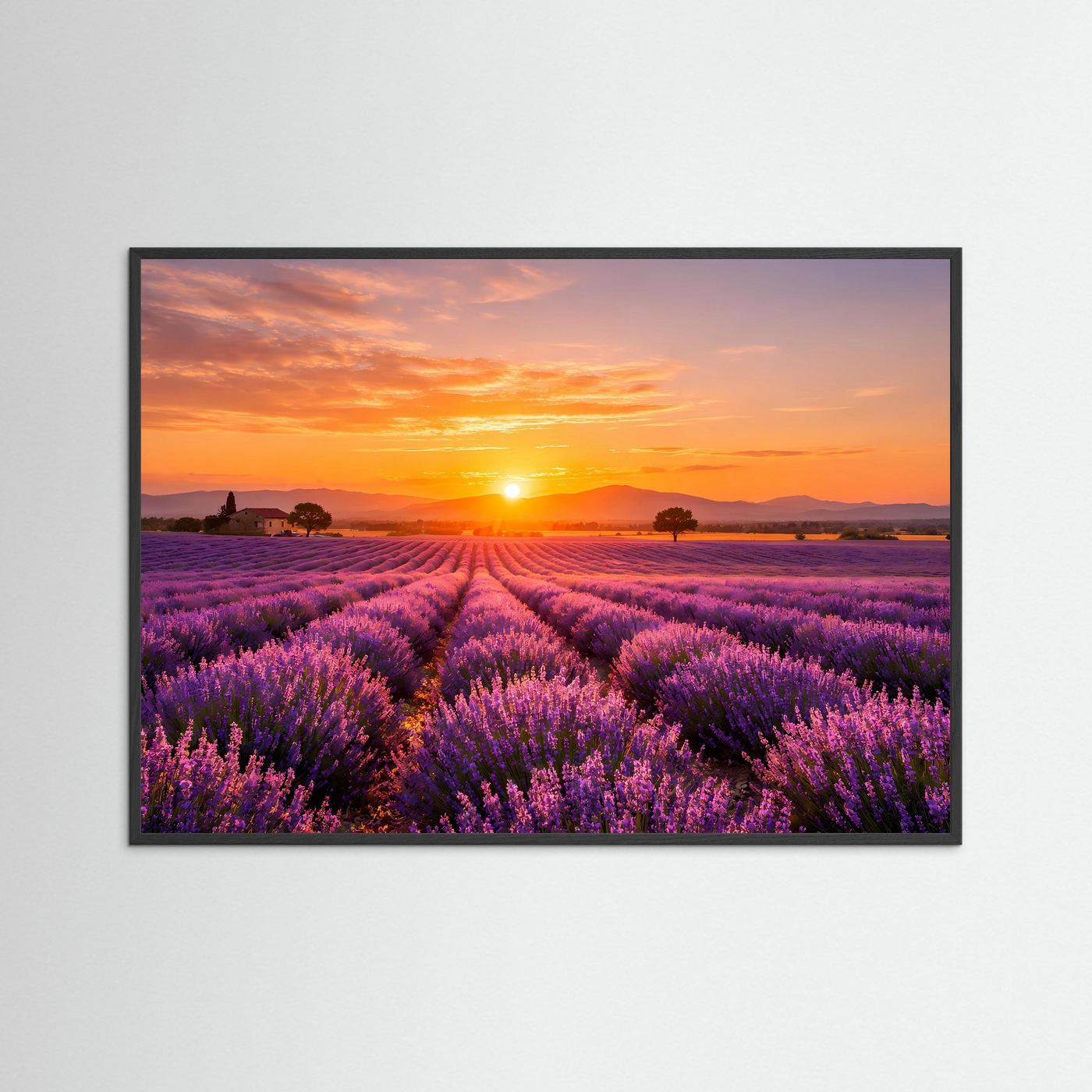 Poster mit Lavendelfeld im Sonnenuntergang, blauer Rahmen