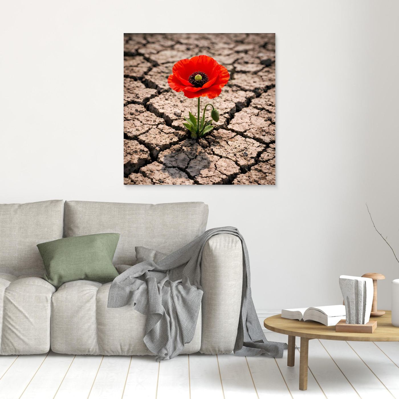 Kleines Leinwandbild mit roter Mohnblume auf rissigem, trockenem Boden