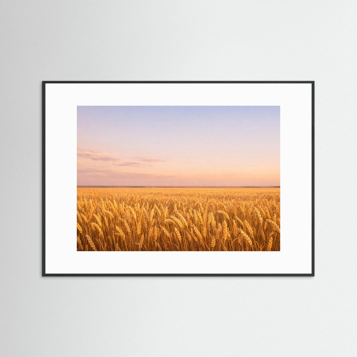 Wandbild mit goldenem Weizenfeld bei Sonnenuntergang im schwarzen Rahmen