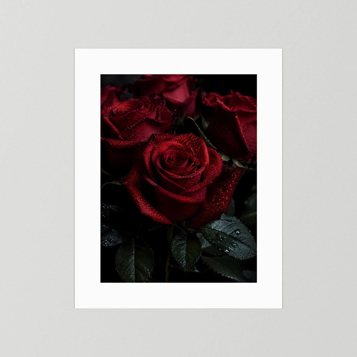 Hochformatiges Rosen-Poster mit dunkelroten Blüten, Tautropfen auf Blättern