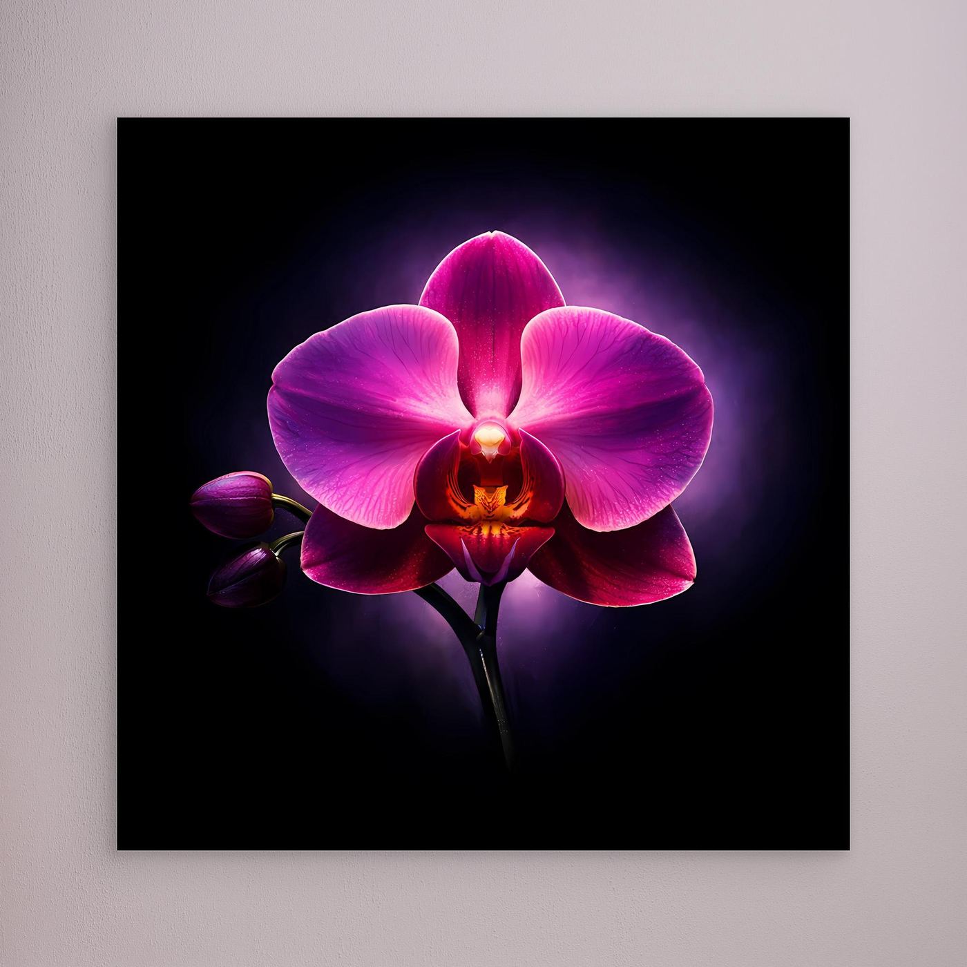 Leinwandbild mit leuchtender pinker Orchidee, dunkler Rand
