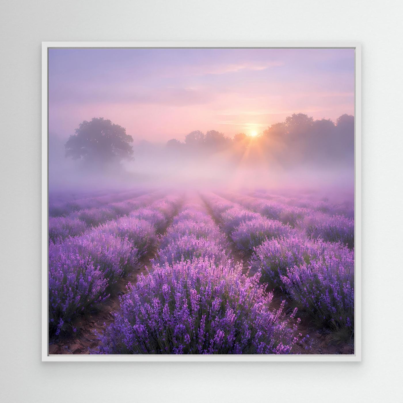 Rechteckiges Leinwandbild mit Lavendelfeld im Nebel und Sonnenaufgang, weißer Rahmen