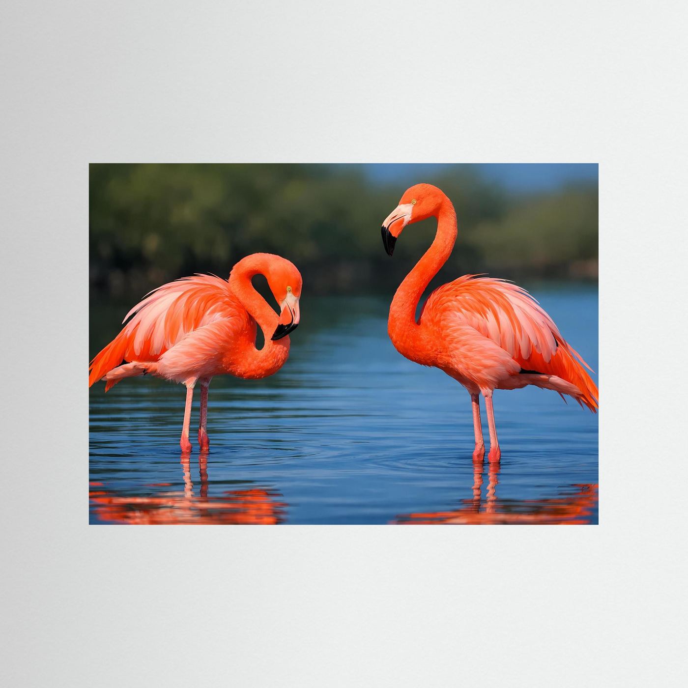 Querformat-Poster mit zwei rosafarbenen Flamingos am Wasser, ohne sichtbaren Rahmen