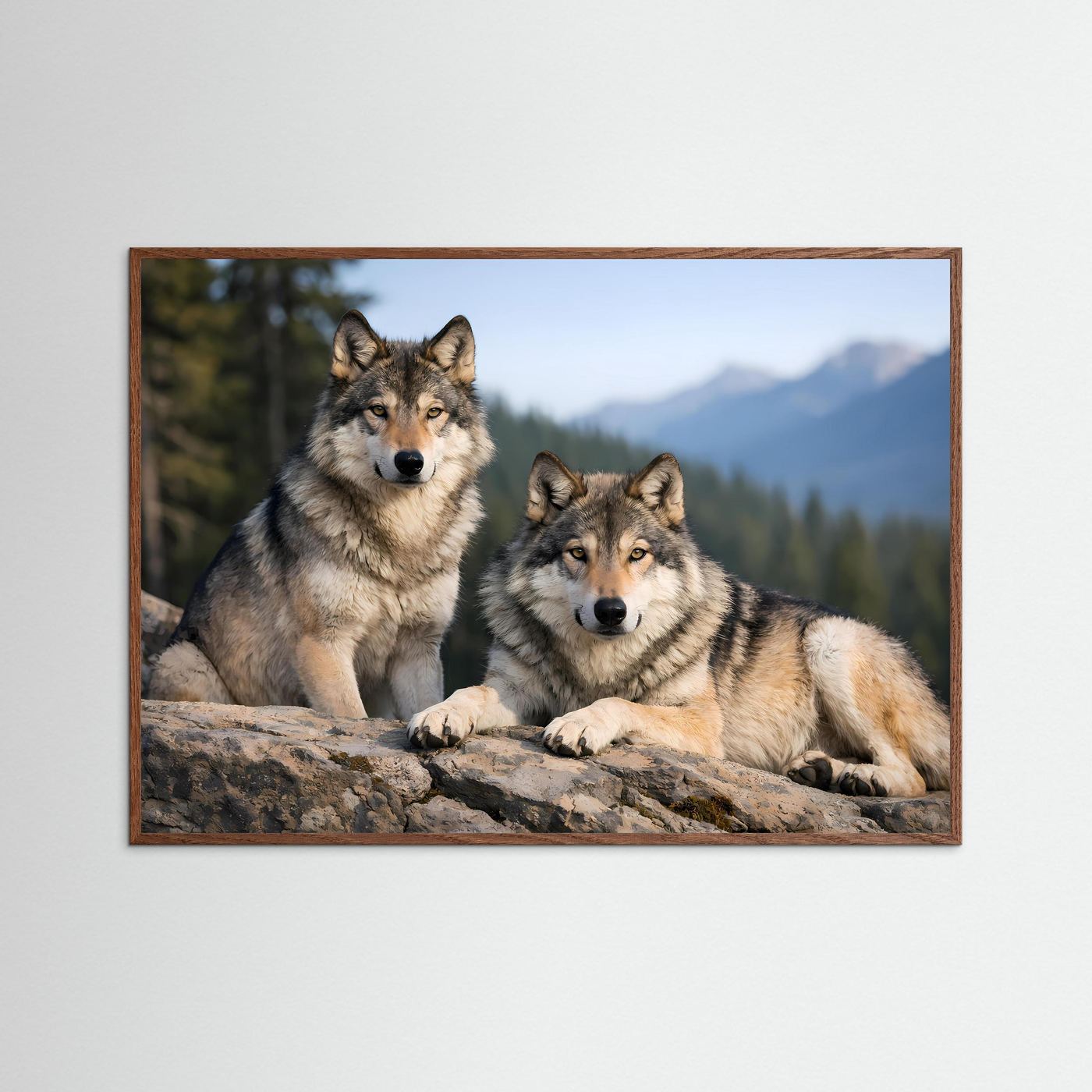 Wolfspaar-Poster mit braunem Holzrahmen: zwei Wölfe auf Felsen, querformat