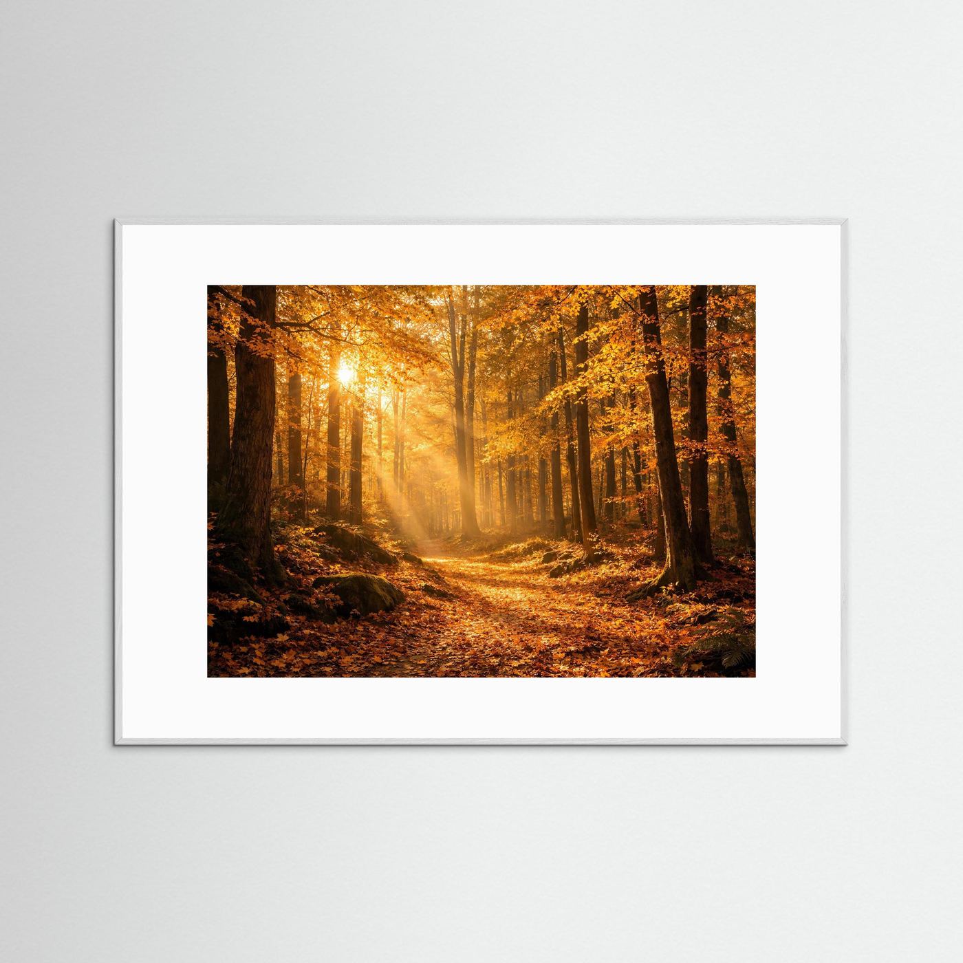 Panorama-Poster im weißen Rahmen: Herbstwald mit Sonnenstrahlen und Pfad