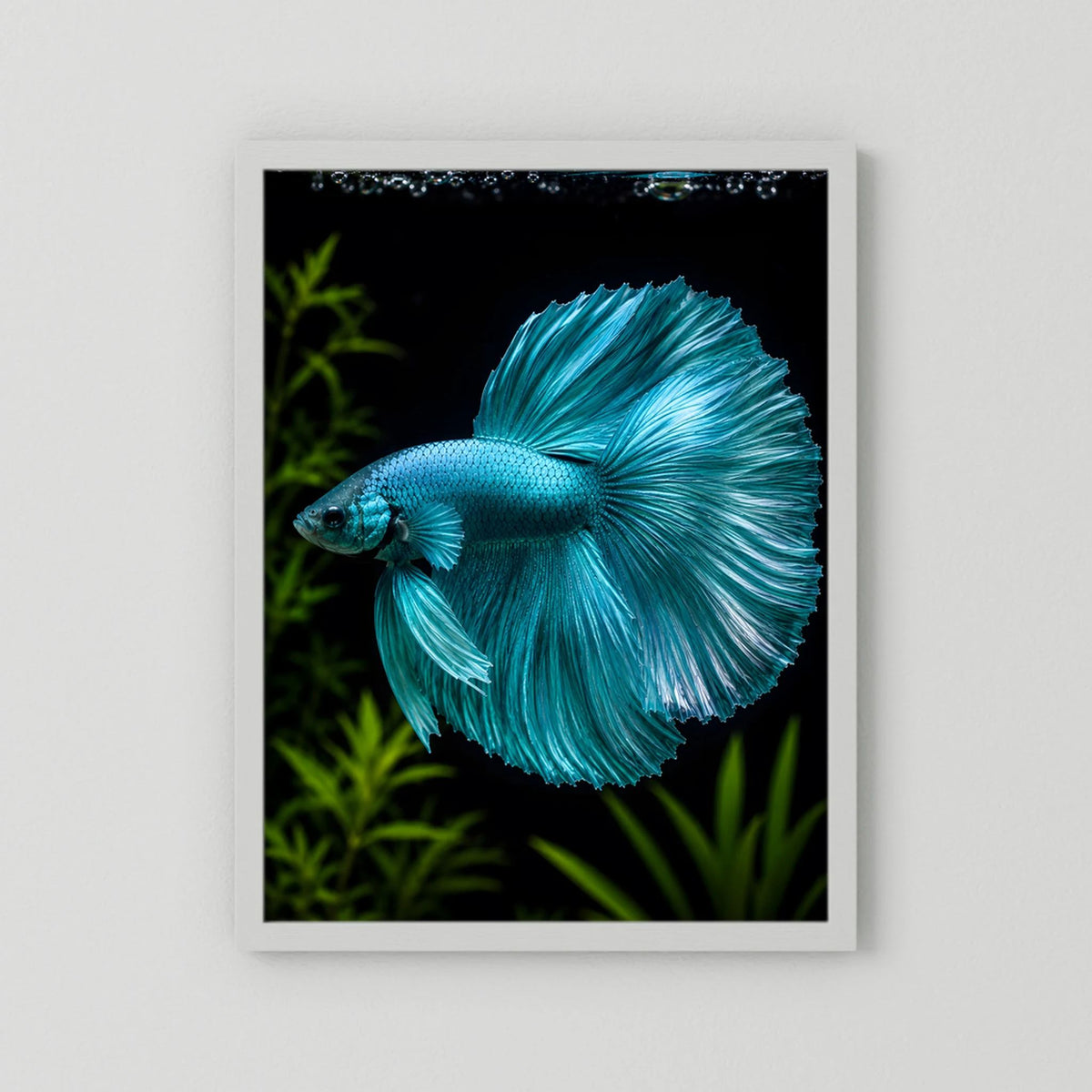 Kunstposter mit türkisfarbenem Betta-Fisch, weißer Rahmen, Hochformat