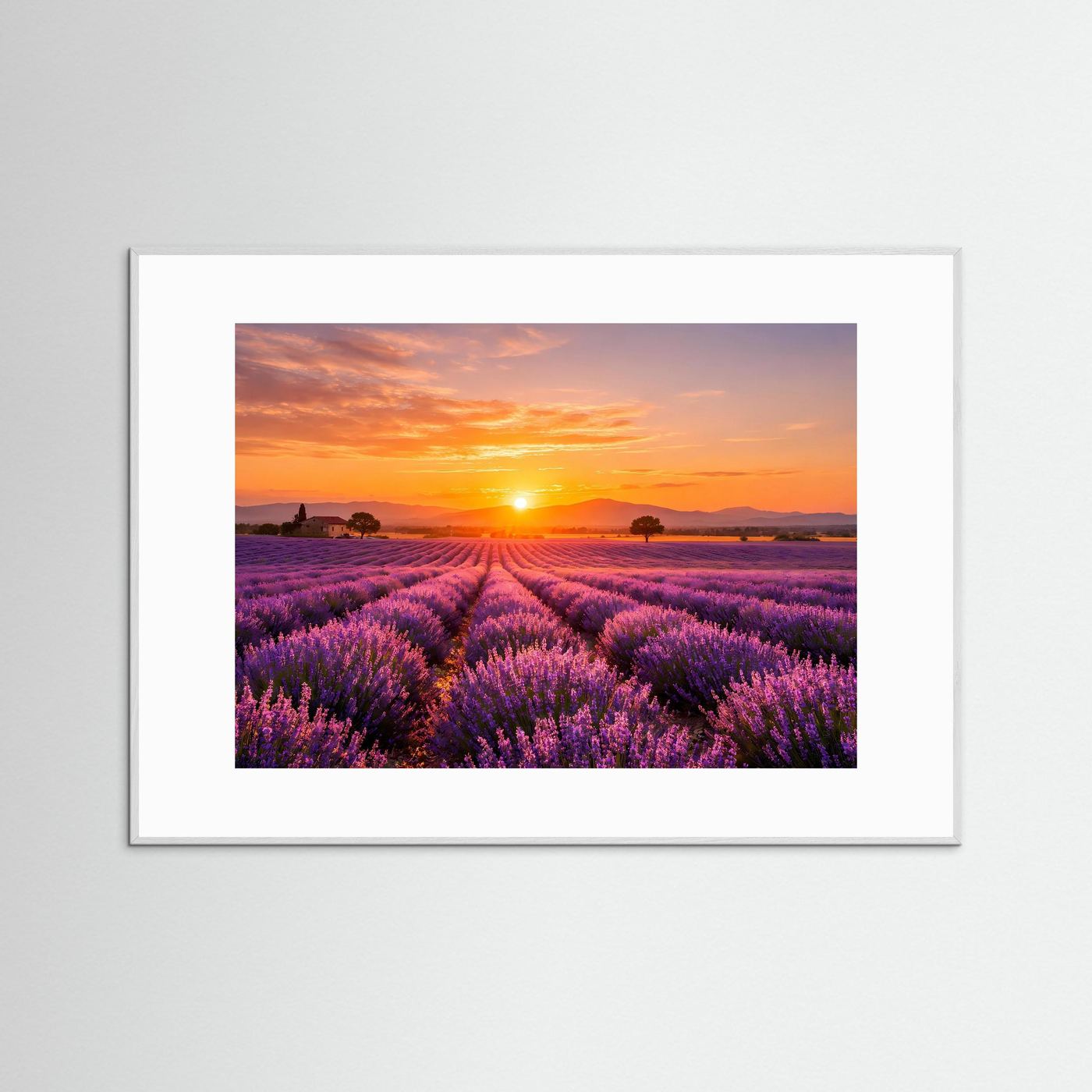 Poster mit Lavendelfeld im Sonnenuntergang, weißer Rahmen
