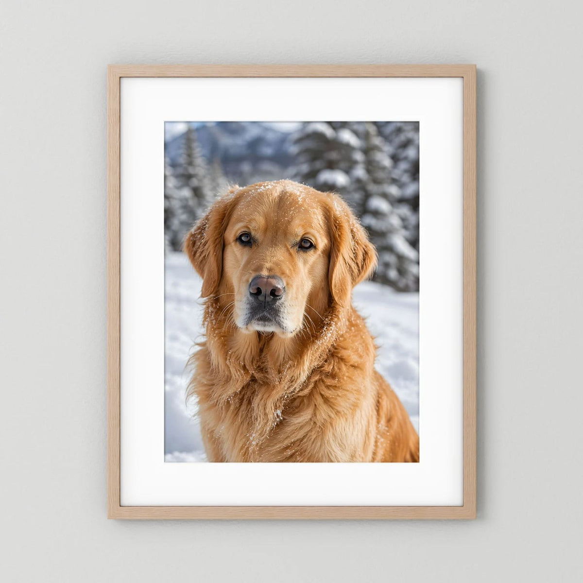 Hundeposter mit Golden Retriever im Schnee, im hellen Holzrahmen
