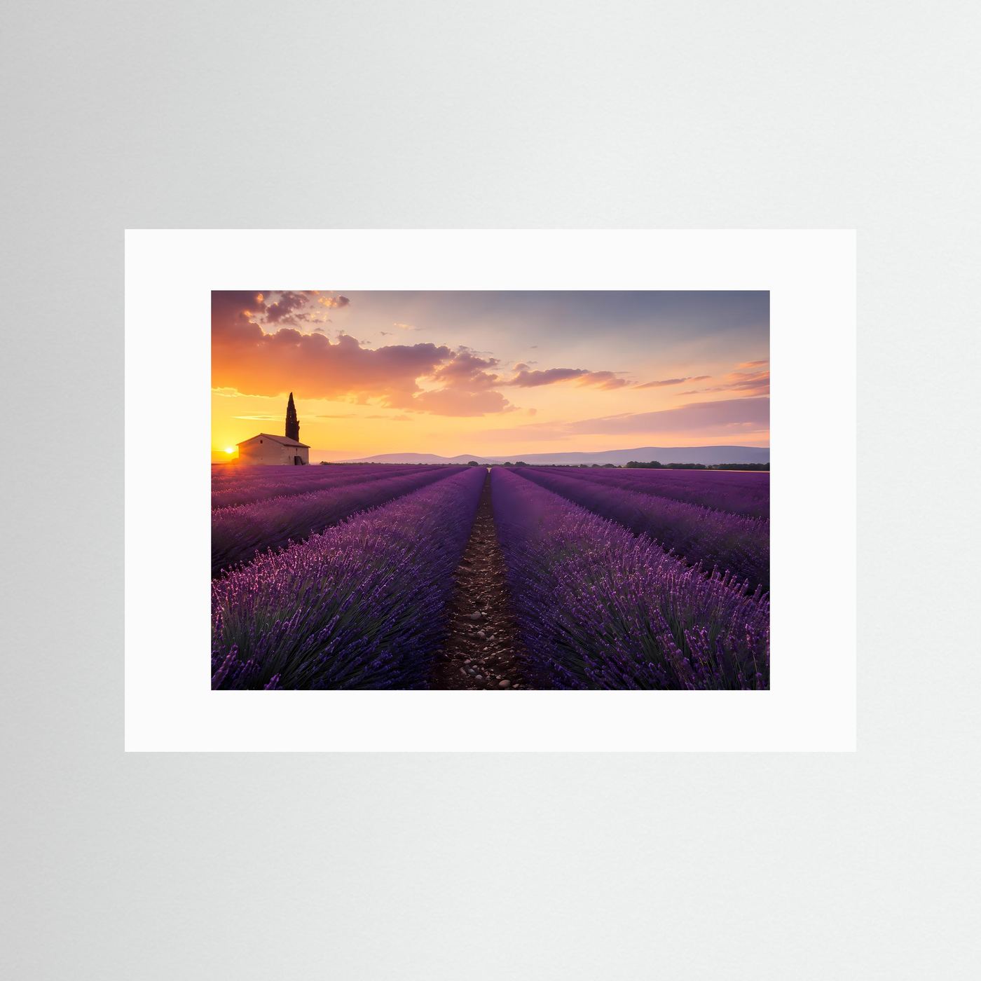 Lavendelfeld im Sonnenuntergang | Provence Landschaft in Lila & Gold