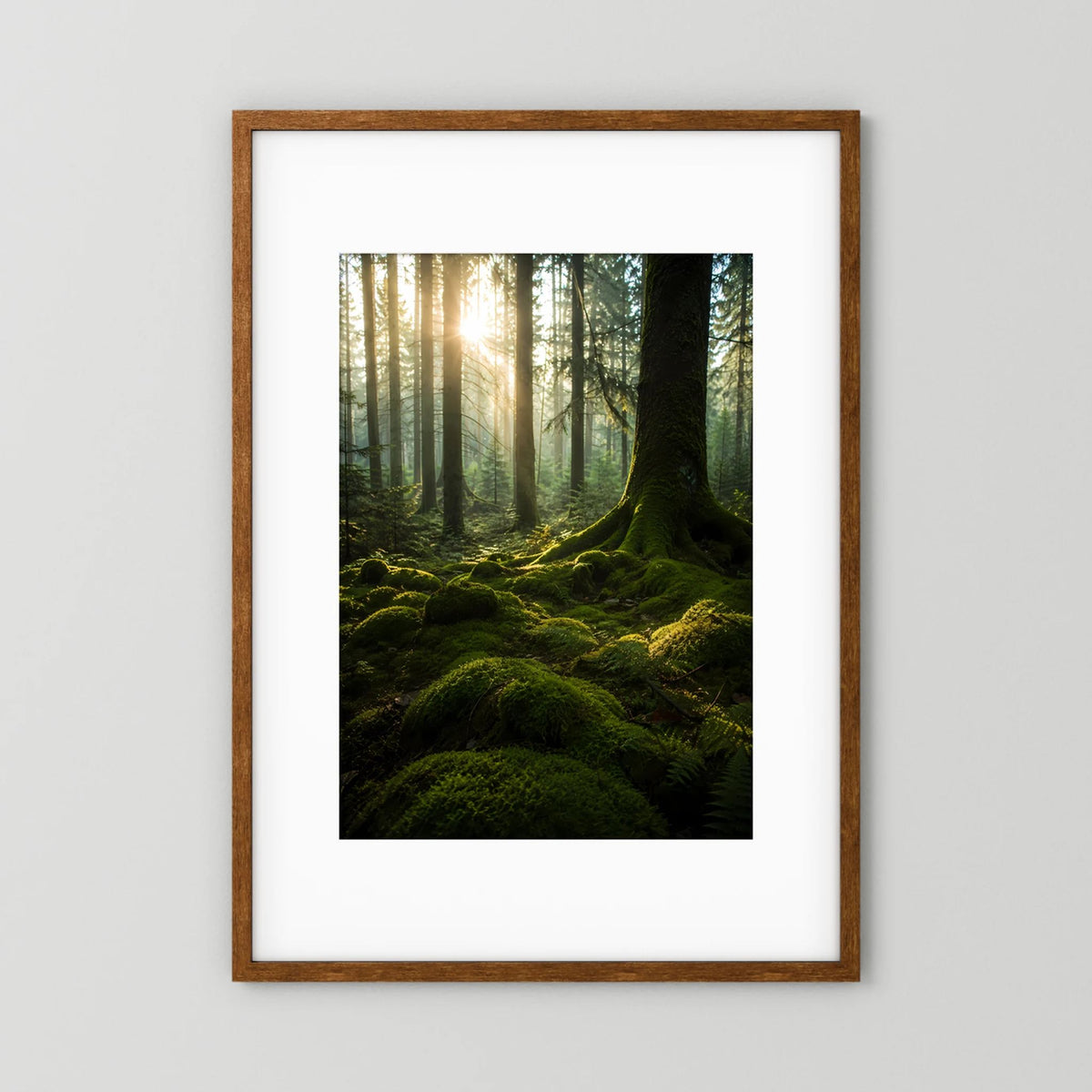 Poster im Hochformat: moosiger Wald mit Sonnenstrahlen, großer Baumstamm, Holzrahmen
