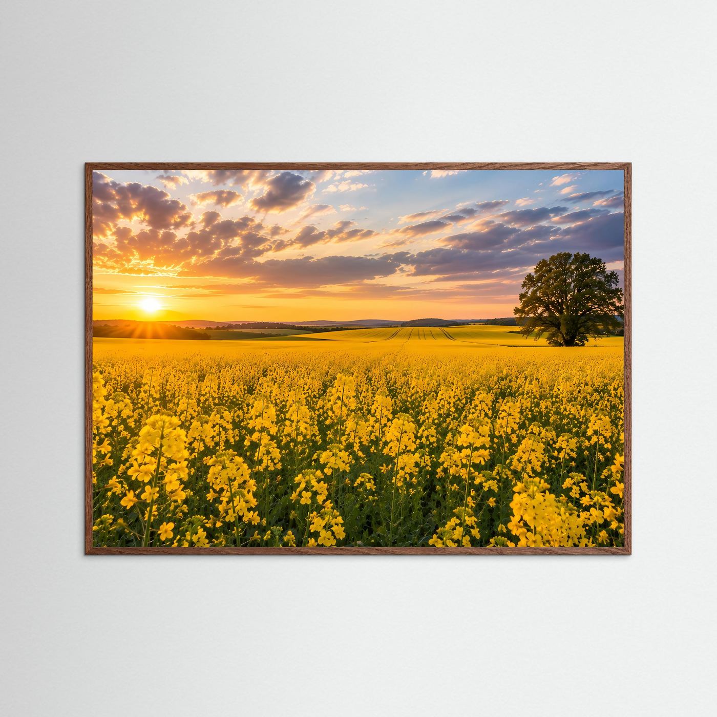 Gerahmtes Poster im Querformat mit gelbem Rapsfeld, Baum und tiefem Sonnenuntergang.