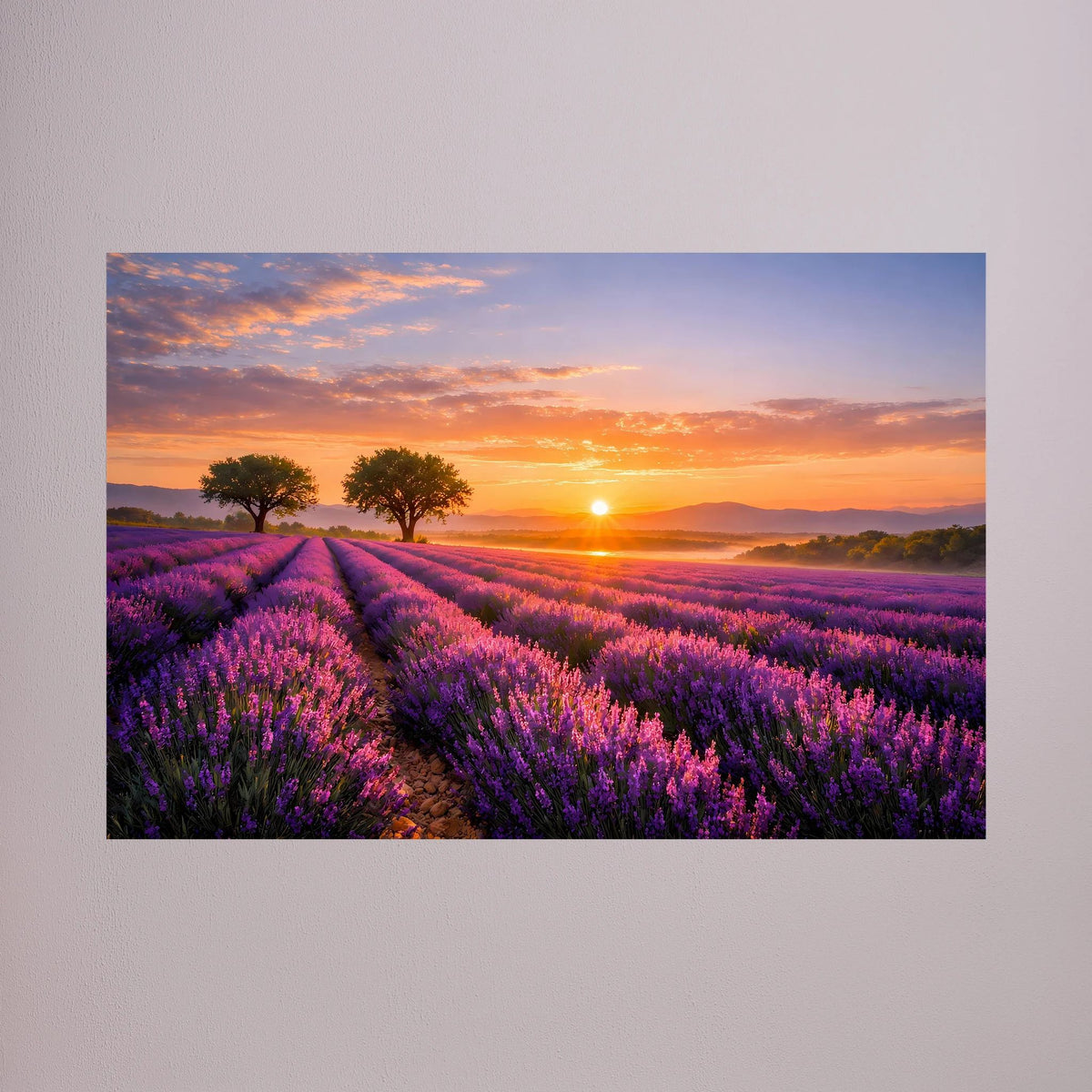 Querformatiges Poster mit Lavendelfeld, violetten Blüten und untergehender Sonne am Horizont